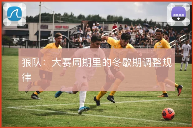 狼队：大赛周期里的冬歇期调整规律