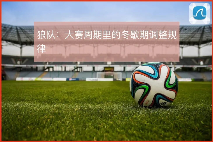狼队:大赛周期里的冬歇期调整规律